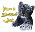 Comments, Graphics - Good Week 